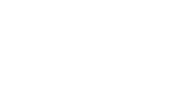 dsv